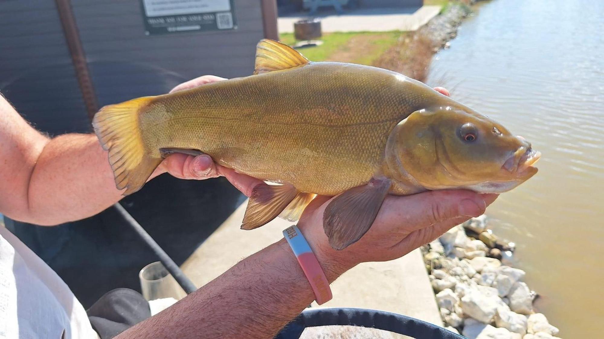 Lakeside Fishing Retreats Boston Zimmer foto