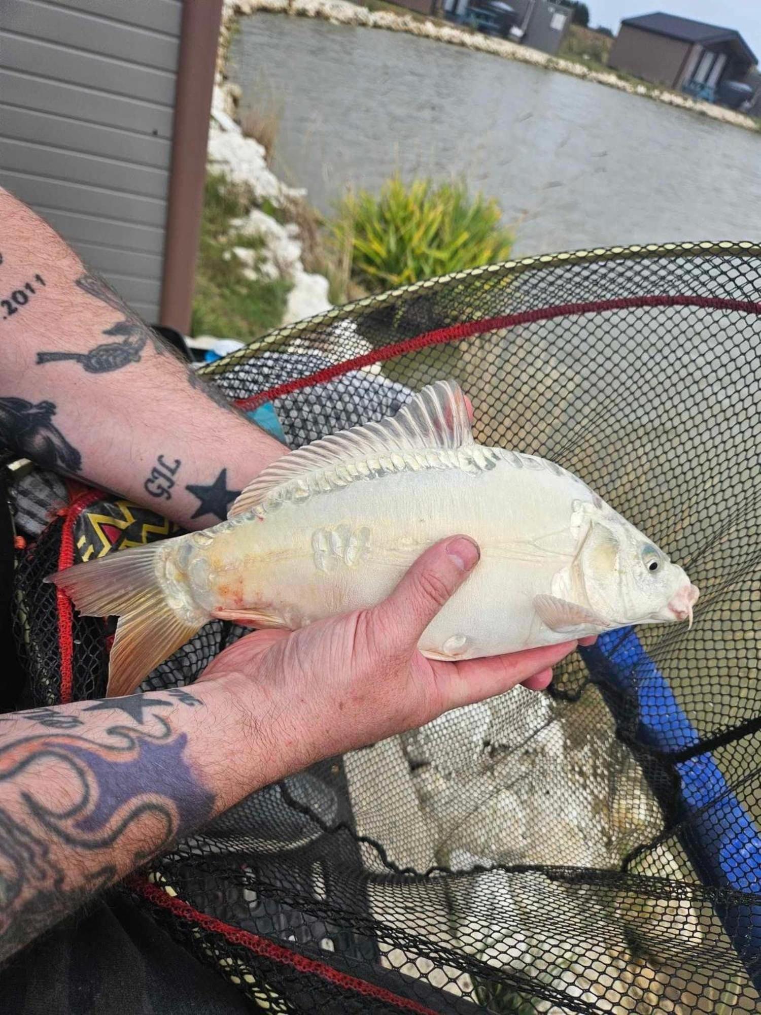 Lakeside Fishing Retreats Boston Zimmer foto