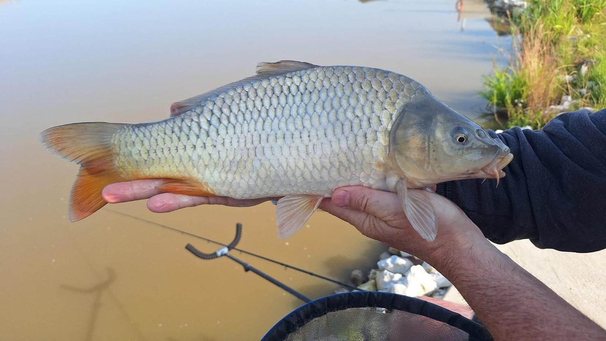 Lakeside Fishing Retreats Boston Zimmer foto